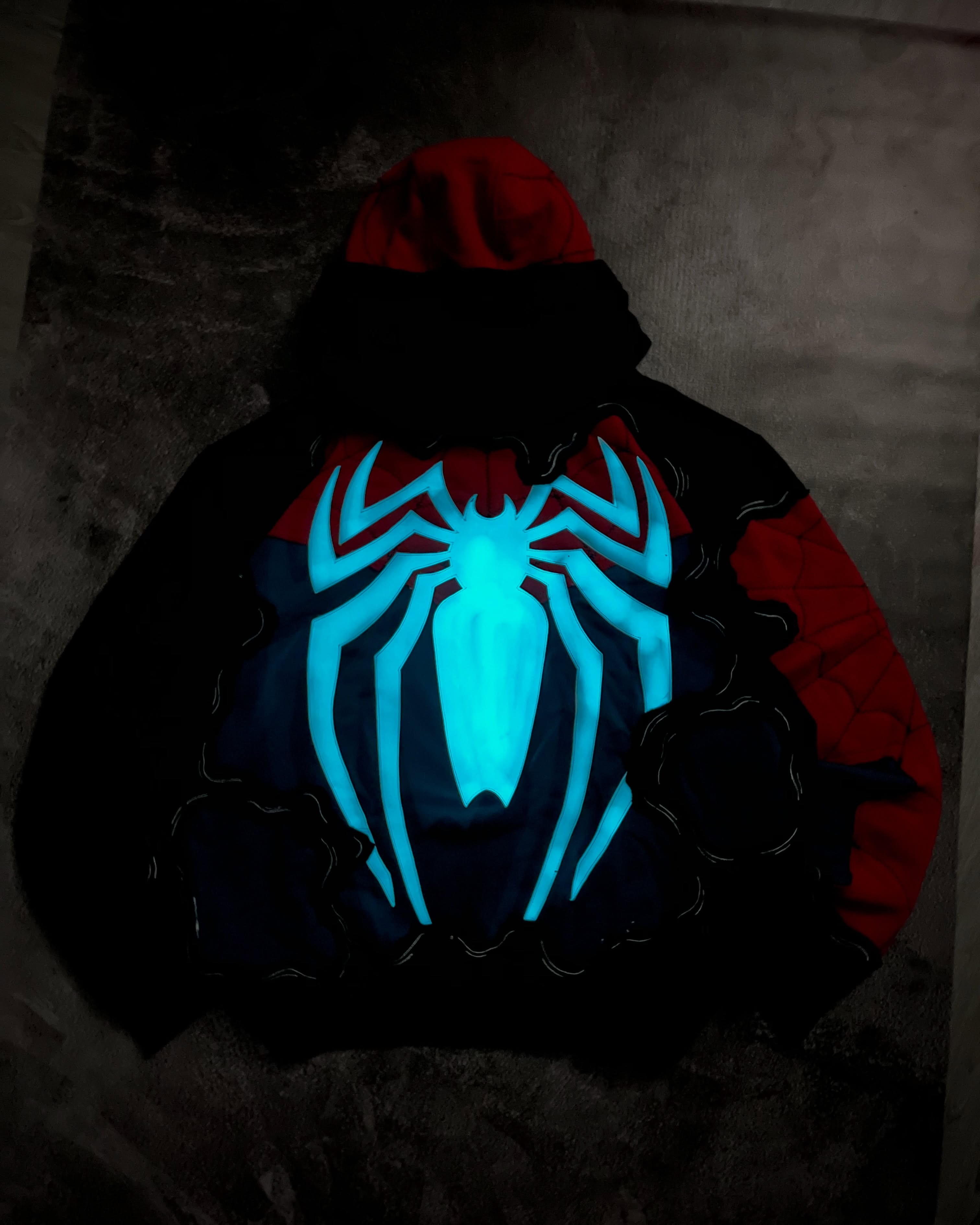 Re-worked Spider Hoodie
